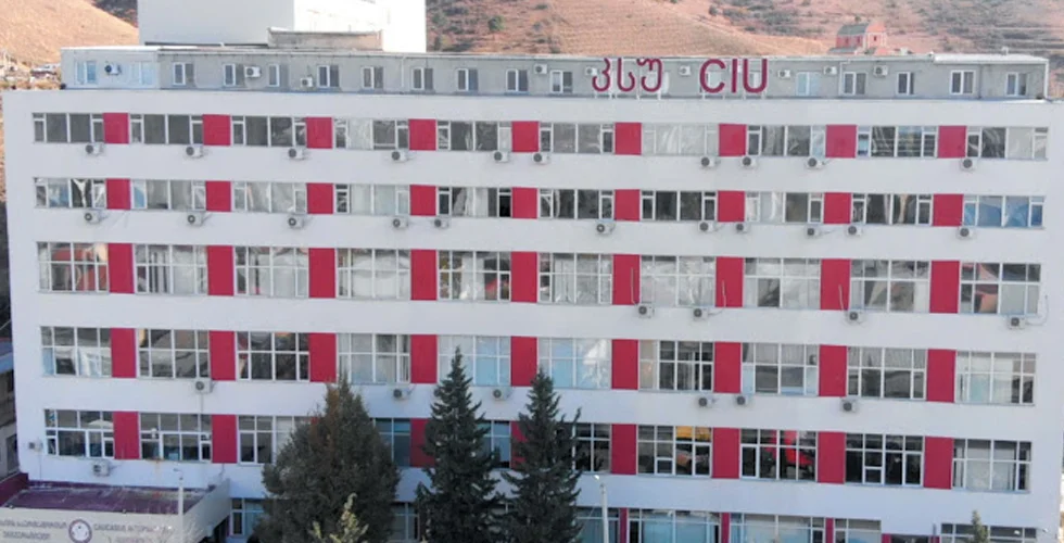 Caucasus International University Banner Caucasus International University Banner